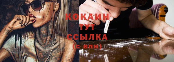 стафф Алексин