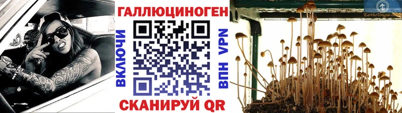 где купить наркоту  Усть-Лабинск  Псилоцибиновые грибы MAGIC MUSHROOMS 